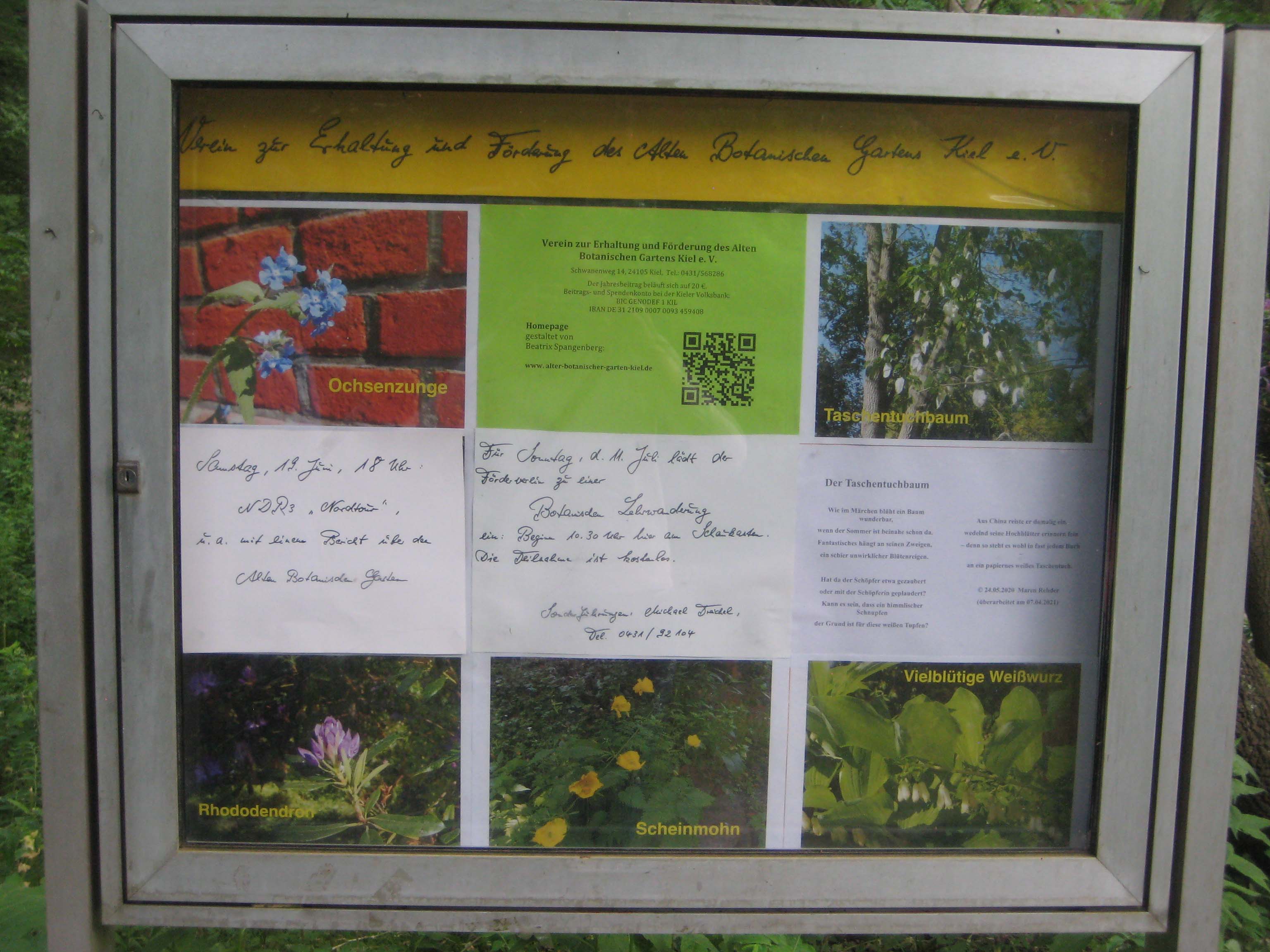Alter Botanischer Garten Kiel Aktuelles