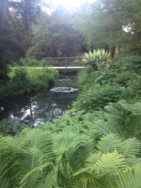 Brücke mit Teich